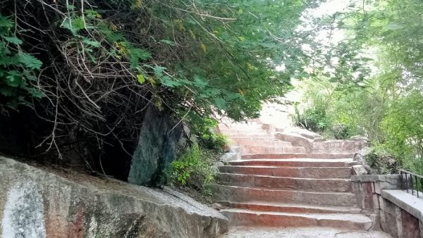 Mahadeva Clean Chamundi Hills Steps