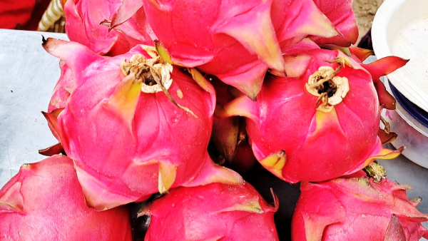 Engineering graduate achievement in agriculture At Mandya district, know details