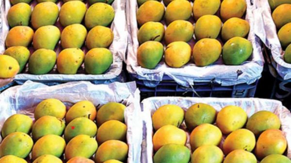 Mango Sales Increased In Raichur Market