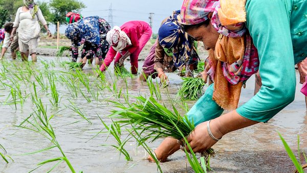Why monsoon rain is getting delay to enter Kerala