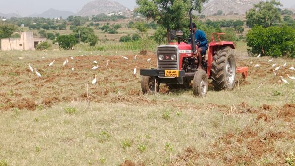 Monsoon Agriculture Works In Chikkaballapur