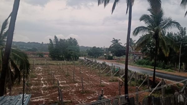 Monsoon Agriculture Works In Chikkaballapur