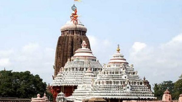Rats Terro in puri jagannath temple priests are having sleepless nights help sought from asi to catch rats