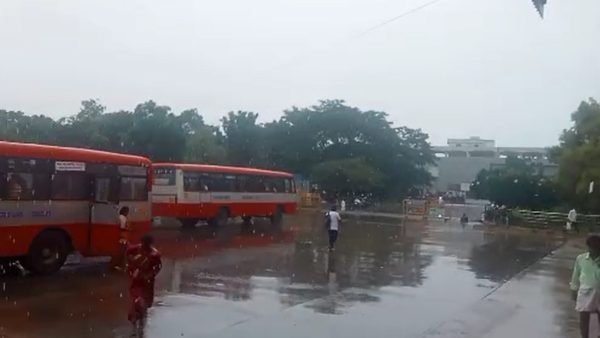 Rain in many parts of Hassan district, Farmers Expressed happiness