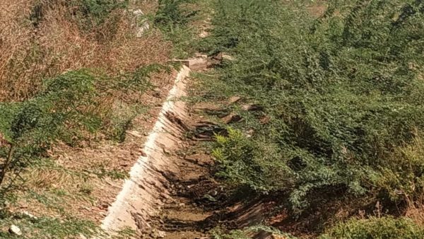 Narayanpura Balande Main Channel And Distribution Channels Are Not Being Completed Narayanpura Balande Main Channel And Distribution Channels Are Not Being Completed