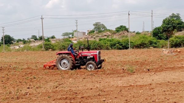 The Raichur Farmers Towards Alternative Crops Due To Rain Delayed
