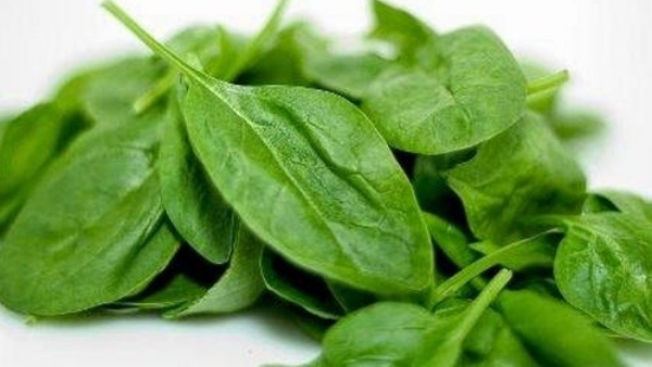 Spinach Leaves Nutrition, Diet Plan for Weight Loss and Amazing Health Benefits in Kannada