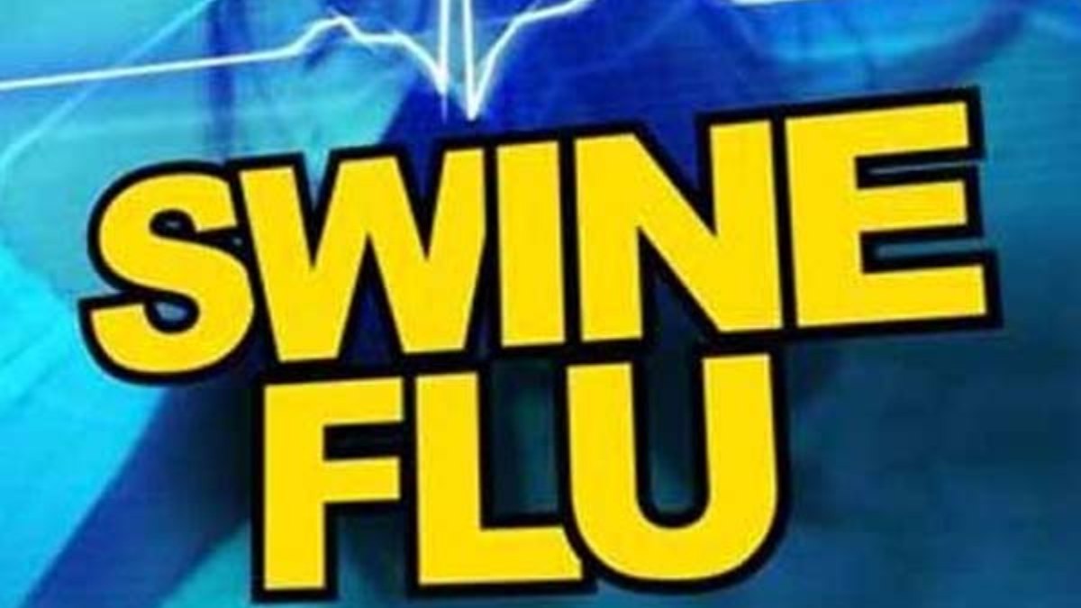 African Swine Flu Detected In Kerala, 70 Pigs Died Due To Fever, Worrying For Karnataka African Swine Flu Detected In Kerala, 70 Pigs Died Due To Fever, Worrying For Karnataka