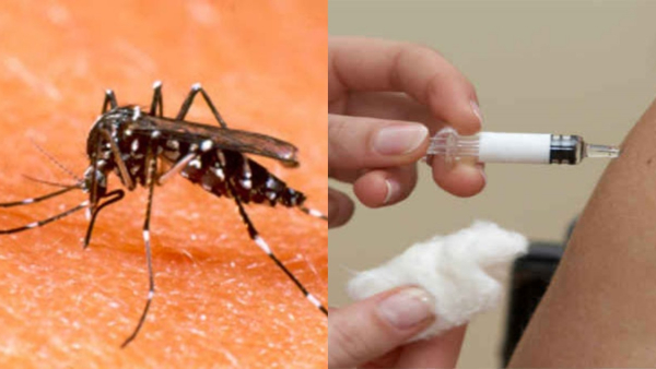  Vaccine may come to market for Chikungunya