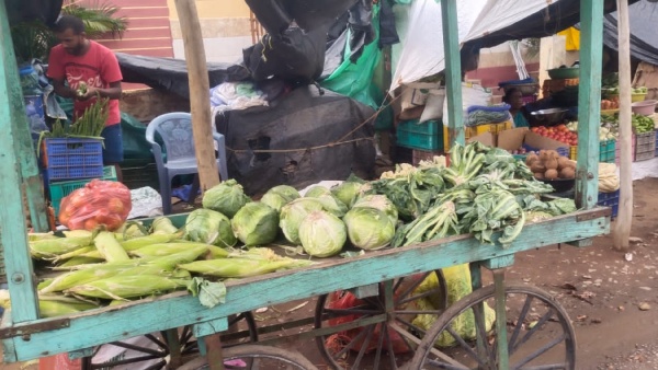 Vegetables Rate Increased In Chikkaballapur Market