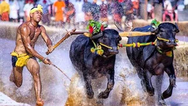 Woman Power To Drive Kambala