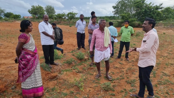 20 Cattle die in Koratagere