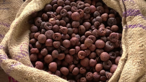 Arecanut and Pepper crop
