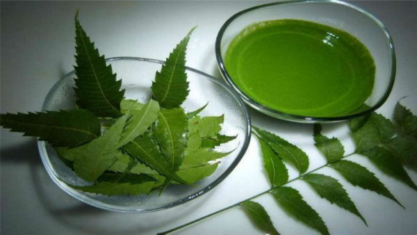 bathing-in-neem-mixed-water