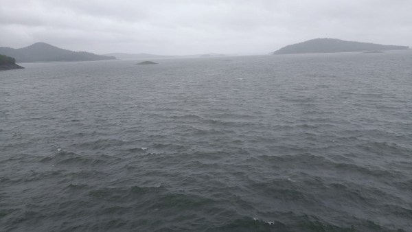 What did S.S.Mallikarjun say on Bhadra Dam water release?