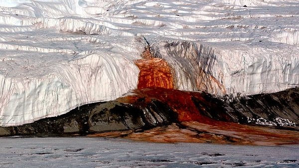 Secret of Antarcticas Bloody Waterfall Revealed: Another World Inside It