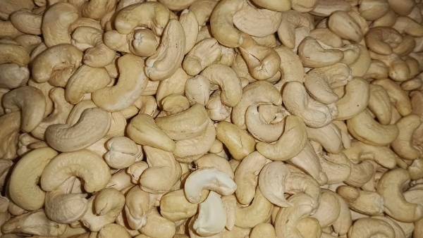 cashewnut-exports-dip-21-per-cent