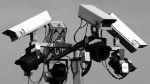 Mysuru farmers installed CCTV in tomato crop protection field