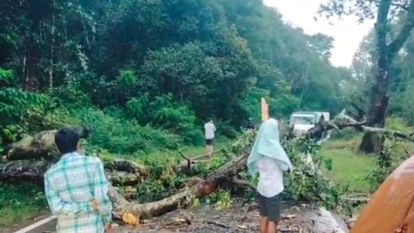 Heavy Rain: Road connectivity breakdown in Many parts of Chikkamagaluru district Due to heavy rain Heavy Rain: Road connectivity breakdown in Many parts of Chikkamagaluru district Due to heavy rain