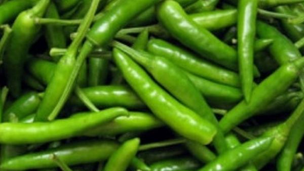 Bengaluru: Green chilli prices surge to Rs 130 a kilo retail markets- Know the reasons