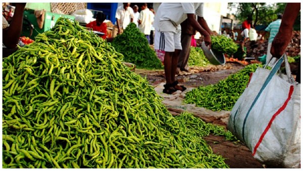 Bengaluru: Green chilli prices surge to Rs 130 a kilo retail markets- Know the reasons