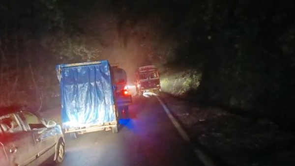 More Than Thousand Dead Fishes Found In Jodi Lingadahalli Lake More Than Thousand Dead Fishes Found In Jodi Lingadahalli Lake