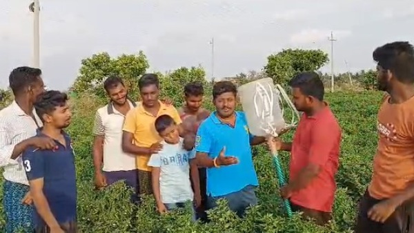 New Idea Of ​​Bharamasagara Youth Farmers To Apply Fertilizer To Crops