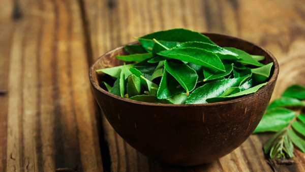 Curry Leaves (Karibevu) Juice Health Benefits