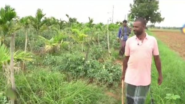 Demand to Davanagere Tomato, How is security around Lands?, know details 