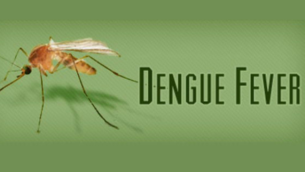 Dengue cases increase in Bengaluru as rainy season begins 