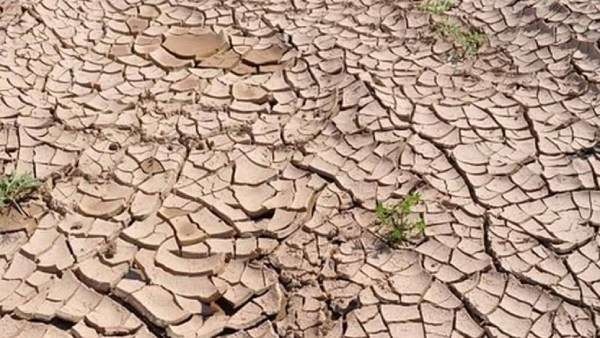 Chitradurga: Rain Shortage In 21 Districts, Congress Govt Didnt Discussed In Session, BY Vijayendra