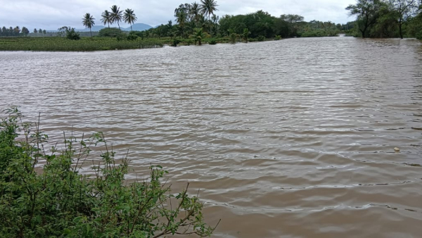 Flood Fear In Harihara Taluk Due To Tungabhadra Overflow