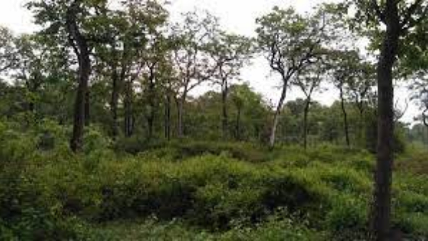 Forest Dept Seized 14 Acres Land encroached Upon To Build A Resort In Sakaleshpur, Hassan. Forest Dept Seized 14 Acres Land encroached Upon To Build A Resort In Sakaleshpur, Hassan.