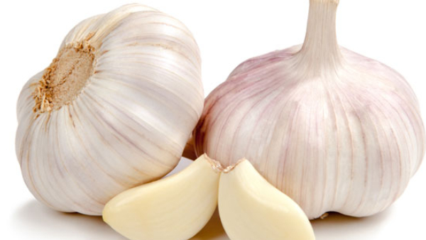 Garlic (bellulli) in Kannada: Health Benefits, Nutritional Value Garlic (bellulli) in Kannada: Health Benefits, Nutritional Value