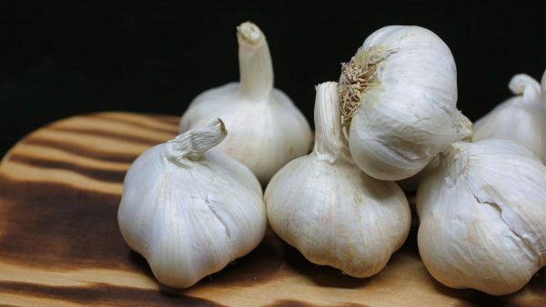 Garlic (bellulli) in Kannada: Health Benefits, Nutritional Value Garlic (bellulli) in Kannada: Health Benefits, Nutritional Value