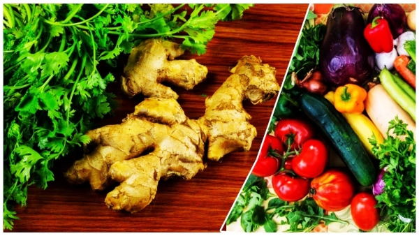 Mysuru: Ginger Price Kg Price 400 Rs, Record Create Price In Last Decade, Growers Happy Due To Rate