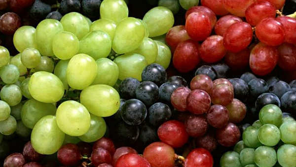 Incredible Health Benefits of Grapes Along With Its Nutritional Value in Kannada Incredible Health Benefits of Grapes Along With Its Nutritional Value in Kannada