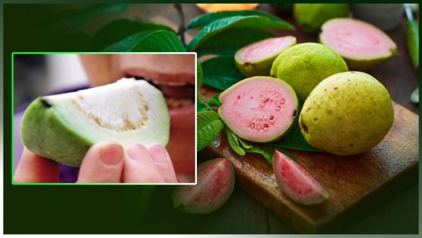 Guava Fruit Health Benefits