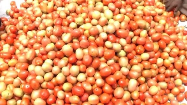 Hassan Police Constable Earned ₹20 Lakhs From Tomatoes