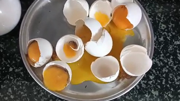 Rotten eggs distributed Rotten eggs distributed