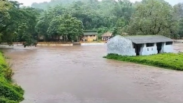 Heavy Rain Lashes Across Kodagu District