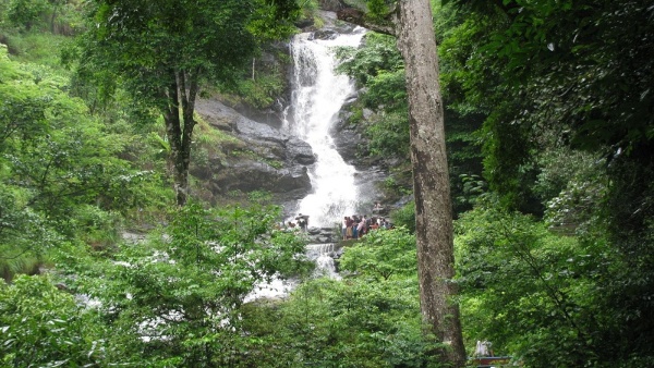 Irpu Falls: This Perfect Time to Witness the Glory of Kodagus Irpu Falls, know rout details