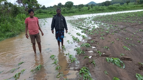 Monsoon Rain Tips For Farmers To Protect Crop