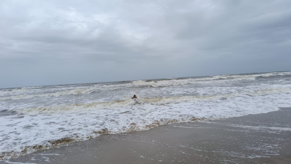 Karnataka Rain: Orange Alert for Coastal & Malnad Districts, Moderate Rain in Other Districts