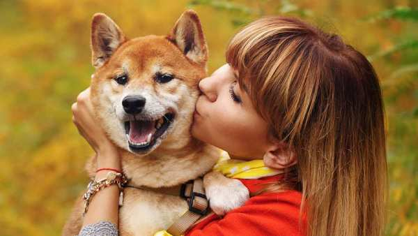 kissing a pet dog on the mouth