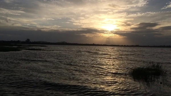 Tourists Places Near Bengaluru: Best Places To Visit Near Kunigal Tourists Places Near Bengaluru: Best Places To Visit Near Kunigal