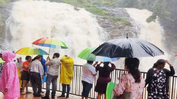 How to reach Madikeris Abbi falls?, know details