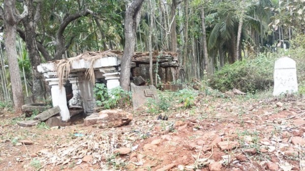 Zilla Panchayat Planned To Build Heritage Parks In All Taluks In Mandya District