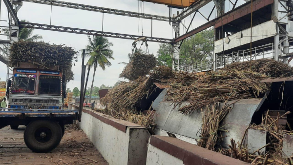 Mysugar foctory milled more than 20 thousand tons sugarcane in 10 days