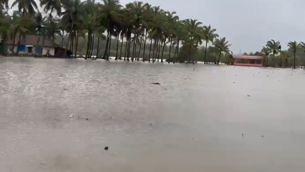 Monsoon Rain Monsoon Rain